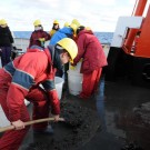 Der Inhalt wird einfach auf's Schiff gekippt, von wo er dann in Bottische geschaufelt wird. Dort wird er gespült und anschließend auf dem Tisch ausgebreitet. (Foto: G. Seidel, GEOMAR)