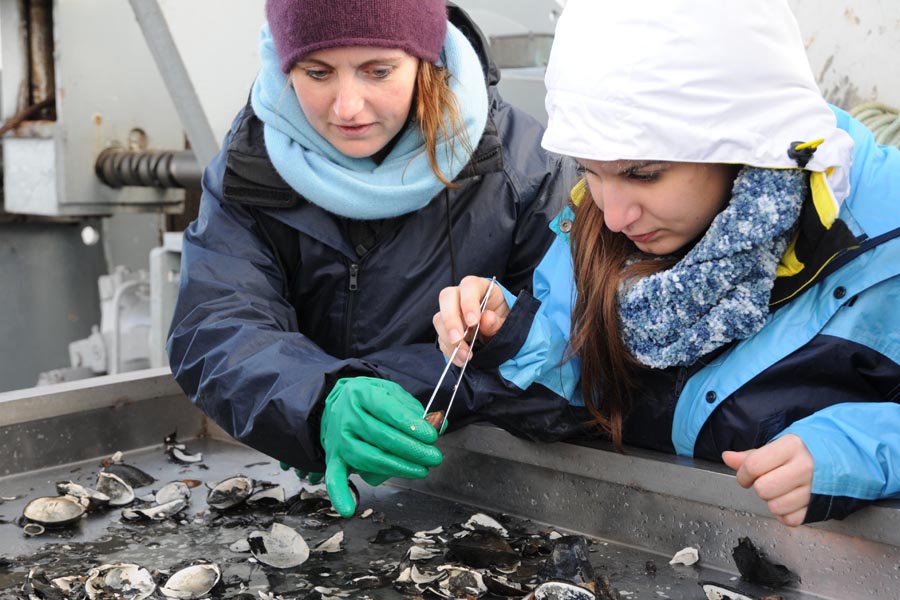 Katrin und Syrmalenia suchen nach lebenden Organismen, die sortiert und gezählt werden. (Foto: G. Seidel, GEOMAR)