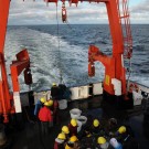 Hier geht es zu wie beim Wühltisch im Kaufhaus: Dicht gedrängt stehen alle um den Tisch herum, jeder möchte hier ein paar Organismen aus dem herausfinden, was die Dredge mit an die Oberfläche gebracht hat. Im Hintergrund werden die letzten Bottiche ausgespült. (Foto: G. Seidel, GEOMAR)