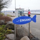 Hier geht's lang! Das Aquarium GEOMAR Kiel mit dem großen Seehundsbecken ist sowohl für Kieler als auch für Touristen die Attraktion an der Kiellinie. Foto: G. Seidel, GEOMAR