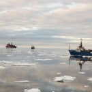 Das russische Forschungsschiff VIKTOR BUYNITSKIY passiert während der deutsch-russischen Expedition TRANSDRIFT XXI auf dem Weg in die Laptewsee die vereiste Wilkizkistraße. Der gleiche Weg ist auch für die aktuelle Expedition TRANSDRIFT XXII geplant. Foto: Georgi Laukert, GEOMAR
