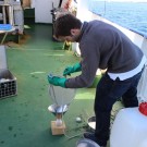Florian Lange schöpft mit einem Sieb Oberflächenwasser aus der Ostsee ab...