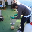 Florian Lange schöpft mit einem Sieb Oberflächenwasser aus der Ostsee ab...