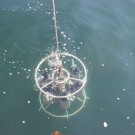 Die Röhren sind beim Hinunterlassen geöffnet und schließen sich erst beim Einholen in der jeweilig zugeordneten Wassertiefe. Fotos: B. König, GEOMAR 