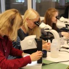 Betreuerin Katja, Jule und Linnea (v. l.) untersuchen mit dem Lichtmikroskop Wasserproben. Foto: B. König, GEOMAR