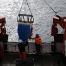 Zwei Mitglieder der Crew holen die Dredge an Bord. Foto: G. Seidel, GEOMAR