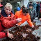 Heidi Gonschior (3. v. links) weiß auf jede Frage eine Antwort. Foto: G. Seidel, GEOMAR