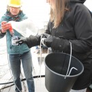 Die betreuende Lehrerin Katja Pasdzierny zeigt Katharina Reimers aus der Verwaltung, wie man die Plankton-Probe umfüllt. Foto: G. Seidel, GEOMAR