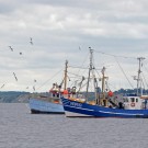 Fischkutter auf der Ostsee. Eine neue Studie zeigt, dass die globalen Fischfangmengen in den 1990er Jahren bisher unterschätzt wurden. Foto: J. Steffen, GEOMAR