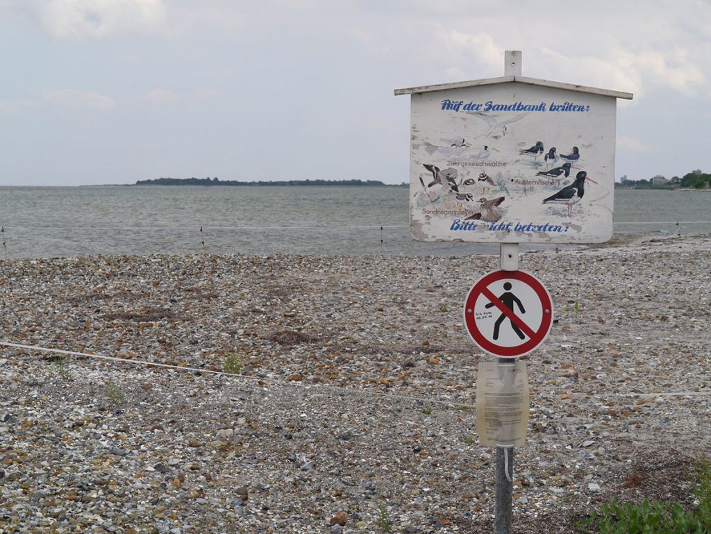 Gesperrte Sandbank, Laboe