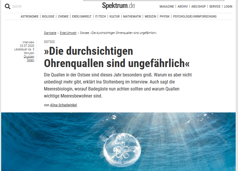 Screenshot vom verlinkten Artikel auf spektrum.de