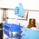 Processing of the water samples in the lab. Verarbeiten der Wasserproben im Labor. (Credit: Lisa Hoffmann, CC BY-NC-ND)