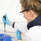 Processing the water samples in the lab. Verarbeiten der Wasserproben im Labor. (Credit: Lisa Hoffmann, CC BY-NC-ND)