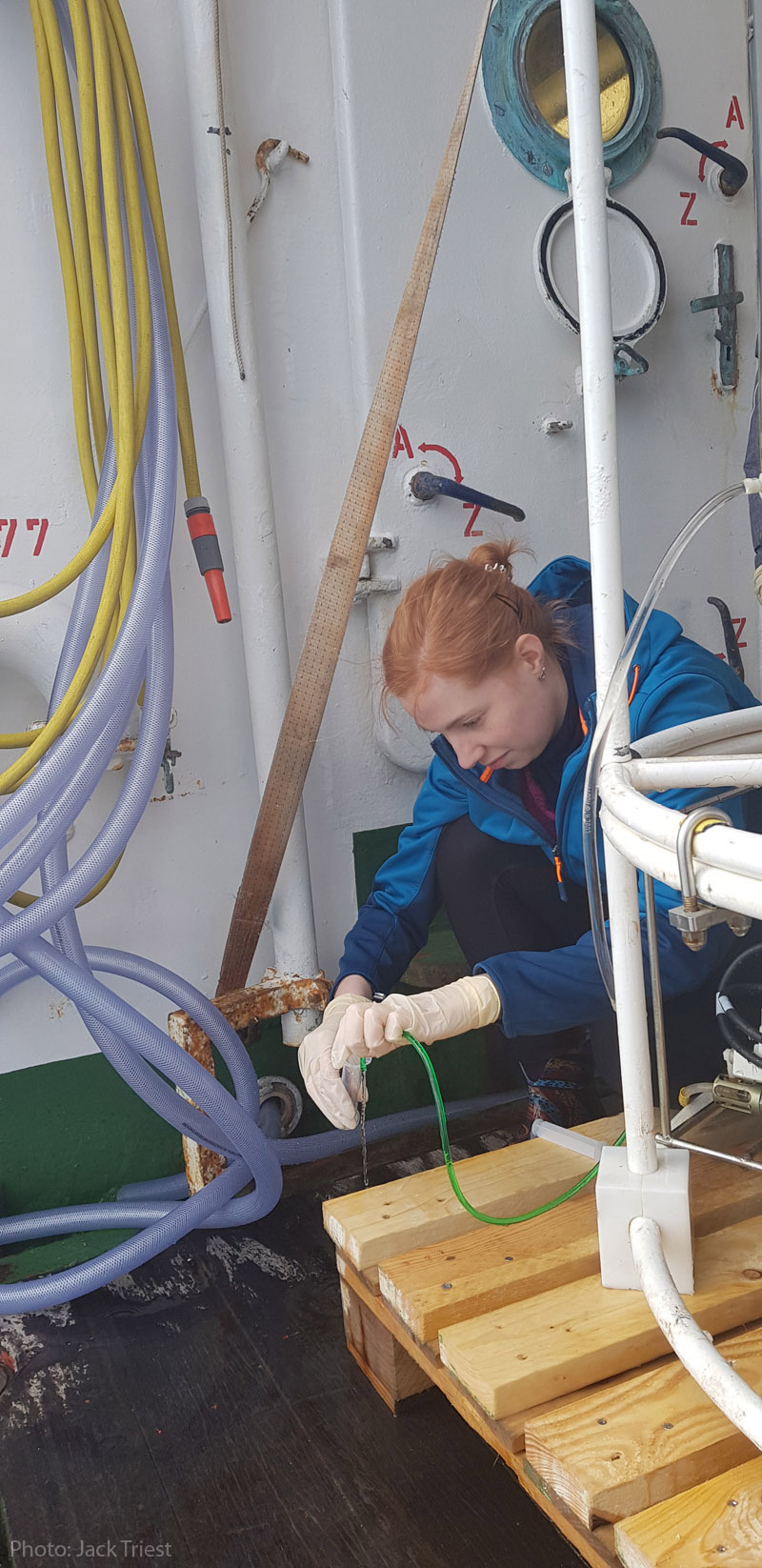 Hallo ihr Landratten! | POS534