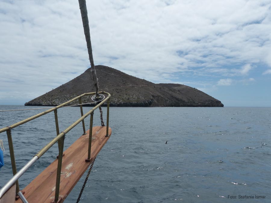 The Galapagos Islands - one of the classical hotspots of biological research. Photo: Stefanie Ismar