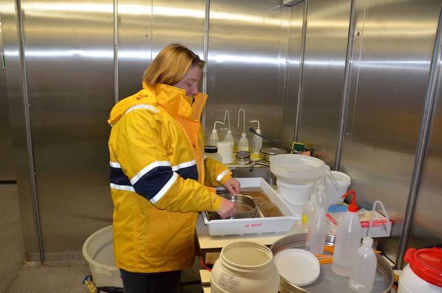 Waschen der Probe im Kühlraum bei 4 °C / Sieving samples in the 4 °C cooling room. ©Thomas Walter