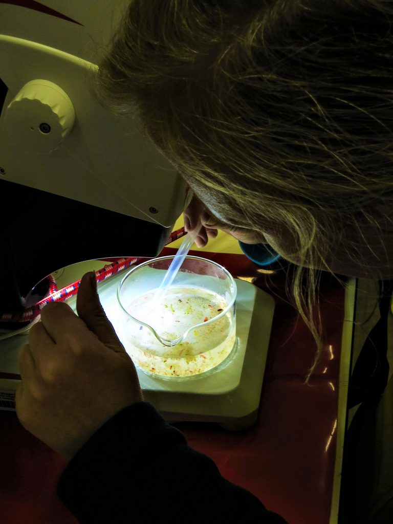 Scientist examines the samples obtained with the Multinet under a microscope. Photo: Jessica Volz, Editing: Steffen Niemann