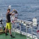 Henning Finkenzeller checking his Cavity Enhanced DOAS instrument. Photo: Kirstin Krüger