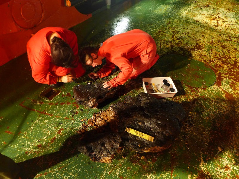 Biologen auf Brachiopodenjagd. Foto: Maxim Portnyagin