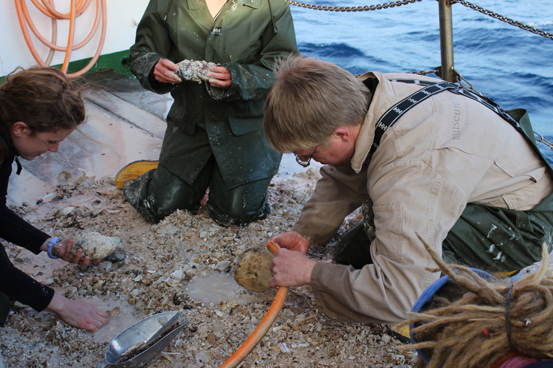 Biologen und Geologen arbeiten auf dieser Fahrt Hand in Hand. Foto: Sandra Wind