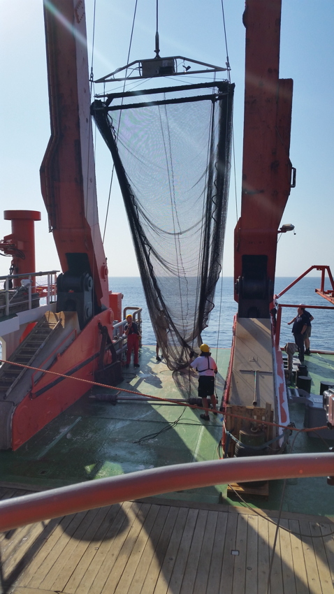 Deep-sea trawl with RV SONNE. Photo: Leesa Naidoo.