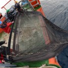 Was bringt das Tiefseenetz an die Oberfläche? Foto: Fabian Mühlberger